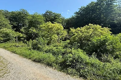 7 persone case ad Kirke Hyllinge-By Traum