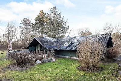 5 persoons vakantie huis in Rødby-By Traum