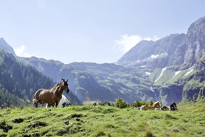 Vacanza con vista sulle montagne a Mittersill