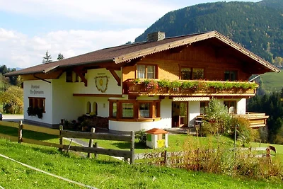 Splendido appartamento a Schladming con sauna