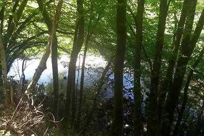 In der Region (Sommer) (>5 km) In der Region (Sommer) (>5 km)