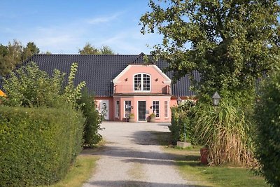 Prachtig vakantiehuis met terras