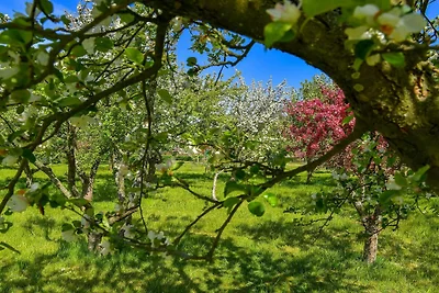 6 Personen Ferienhaus in Sæby-By Traum