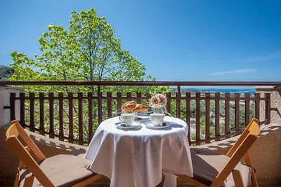 Guest House Stay & Smile Dolac Primošten - St...