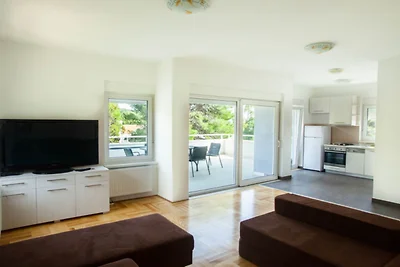 Apartments Despot Zaostrog RR