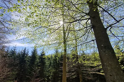 Ferienhaus in der Nähe des Angelgebiets