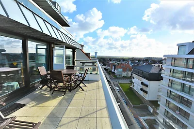 Penthouse mit großer Sonnenterrasse