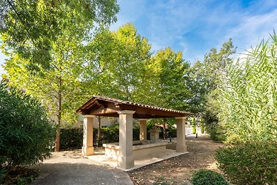 D. de Camiole A N°102 - ST2