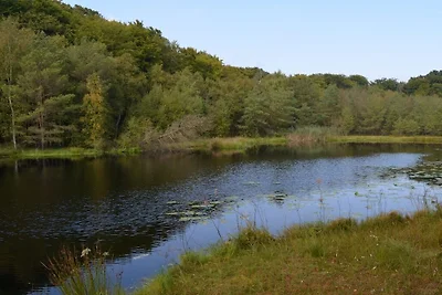 Ferienhaus in Stolpe mit Schwimmbecken
