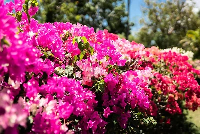 Maisons & Villas für 10 Personen