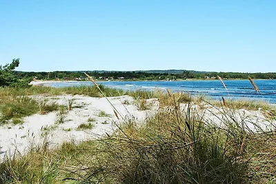 Strandparadies mit Pinien