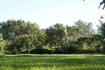 Cottage dal tetto di paglia della Frisia...