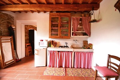 Authentieke vakantiewoning in Pescia met...