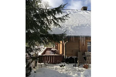 Ferienhaus in Feldberg mit Schwimmbecken