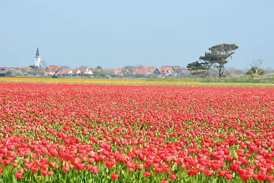 Vakantiehuis in Den Burg met zwembad