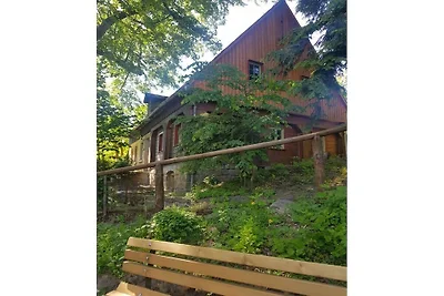 Vakantiehuis in Sebnitz met zwembad