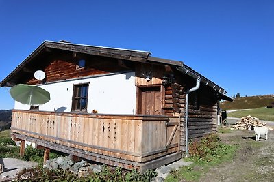 Alpenhut direct in het skigebied Kitzbühel