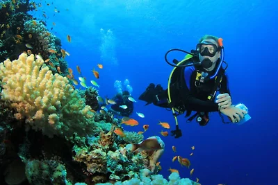 Piscine/ Proche mer et village / Carry Le...