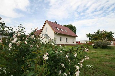 Appartement, Fünfseen