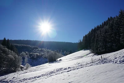 Gruppenvilla mit Waldzugang in Winterberg