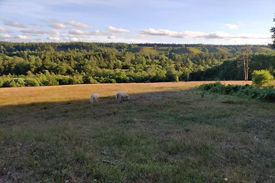 6 persone case ad Silkeborg-By Traum