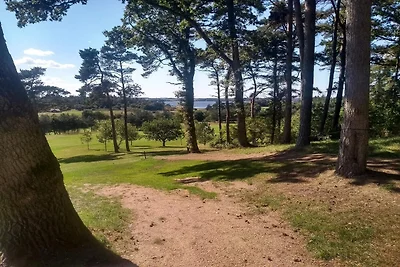 8 persone case ad Skals