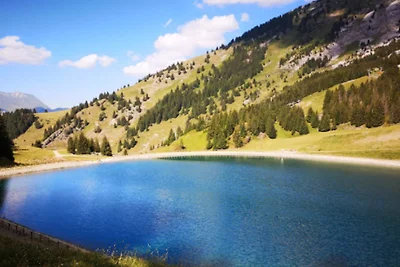 Wohnungen in La Clusaz