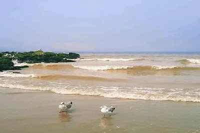 Wohnung in Nieuwpoort nahe Strand