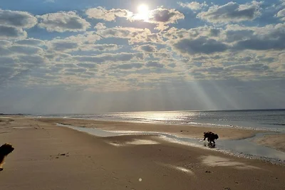 6 Personen Ferienhaus in Blokhus-By Traum