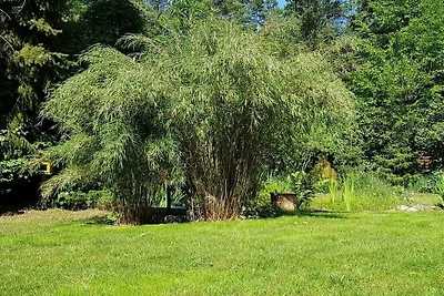 Vakantiehuis met 3 slaapkamers