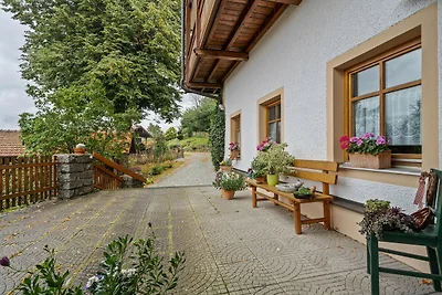 Wohnung in Lohberg nahe Arber Skipisten