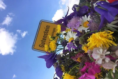 Kuća za odmor Dopust za oporavak Sigmaringen