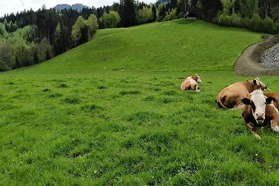 Appartement in Hart im Zillertal met uitzicht