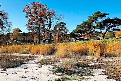 Strandparadies in Snogebaek