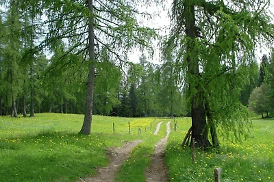 Wunderschönes Ferienhaus im Nontal