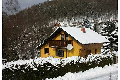 Ferienhaus in der Nähe des Skigebietes