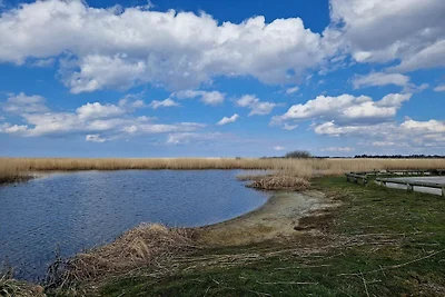 8 Personen Ferienhaus in Skjern-By Traum