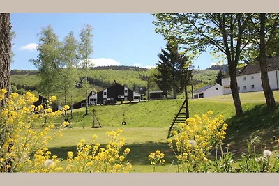 Charmantes Ferienhaus in Skigebietsnähe