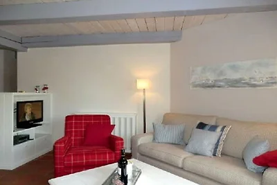 Vakantiehuis in Borgsum met zwembad