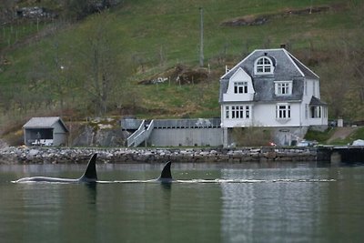 "Butikken" - cabine sul mare