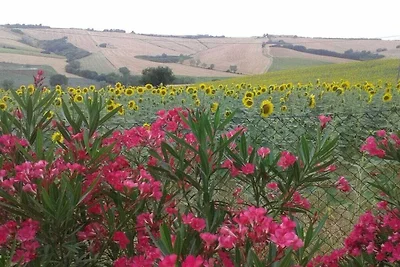 Casale Antonella