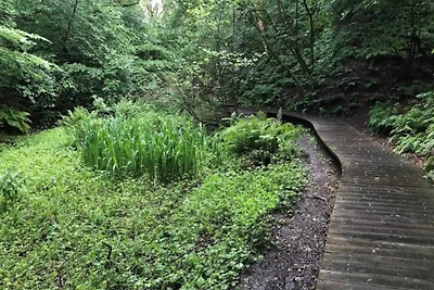 6 persoons vakantie huis in Brovst