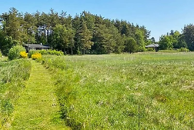 6 persoons vakantie huis in Bording-By Traum