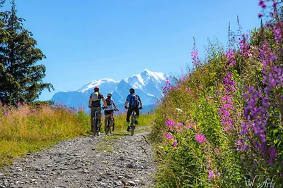 Wohnung in den Alpen nahe Espace Diamant
