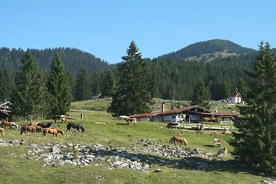 Bauhofer "Alpenchic 4"