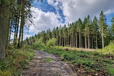 Geräumige Ferienhäuser erwarten Sie