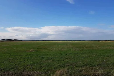 Apartment in Ringkøbing für zwei Personen