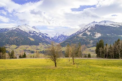 Ferienwohnungen Rauchenbacher in Mittersill