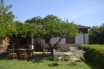 Ferienhaus in Strandnähe