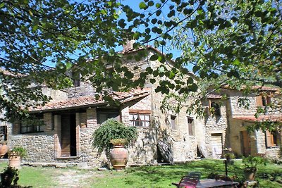 Bauernhaus in Cortona mit Swimmingpool